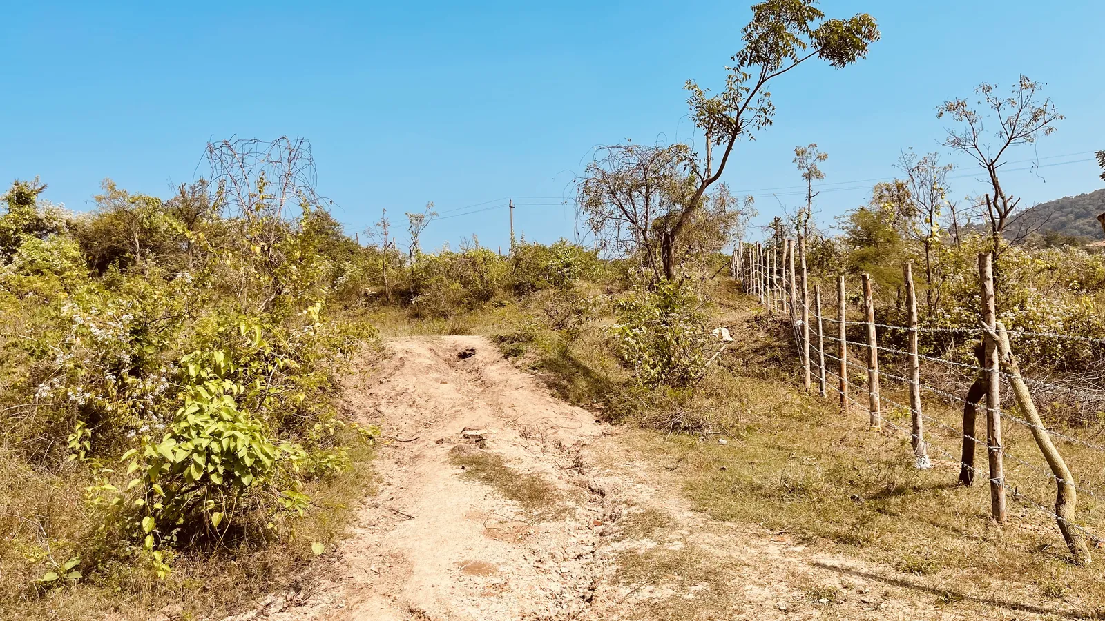 Roads and Access
