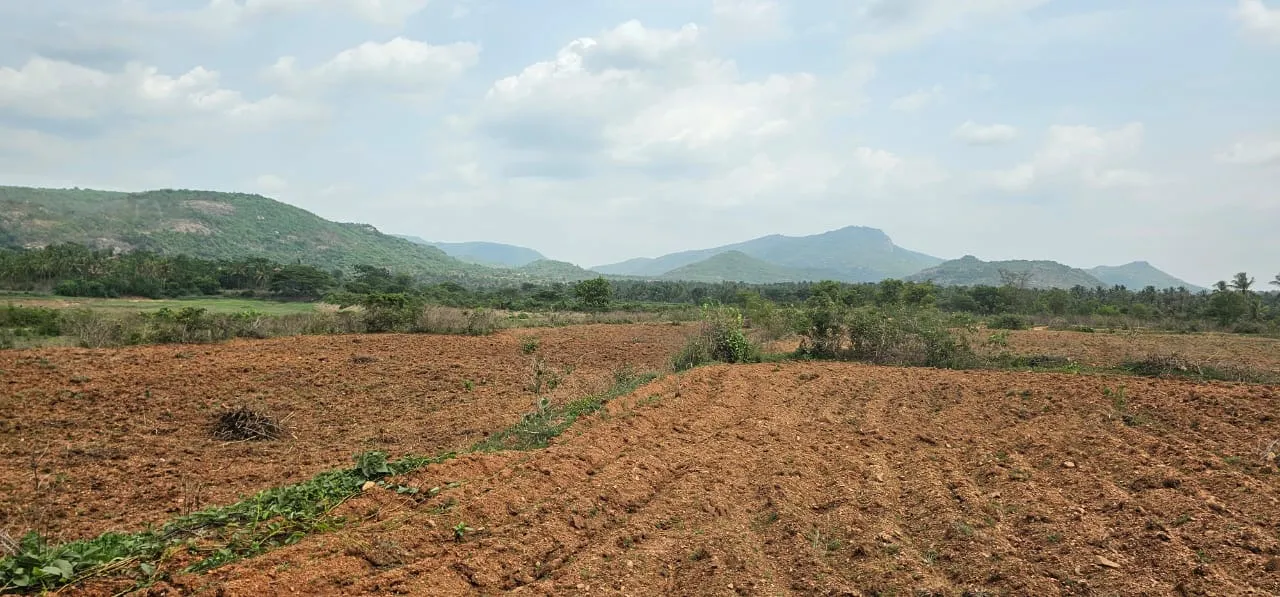 Crops