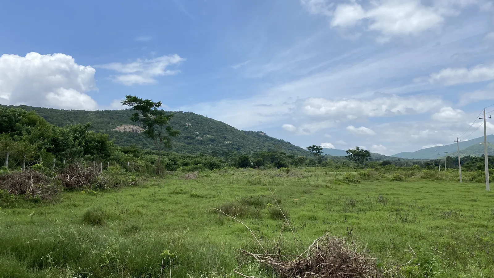 The Land as We Found It