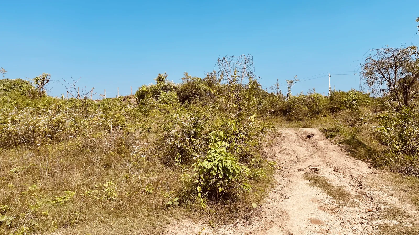 Roads and Access