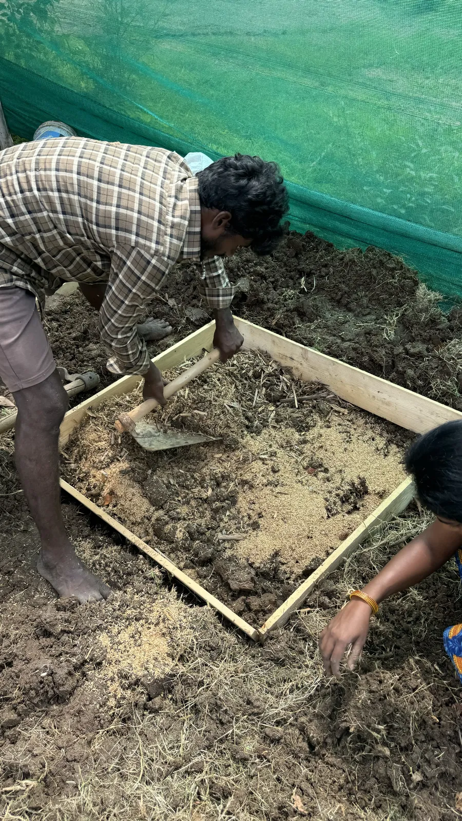 Vegetable Patches