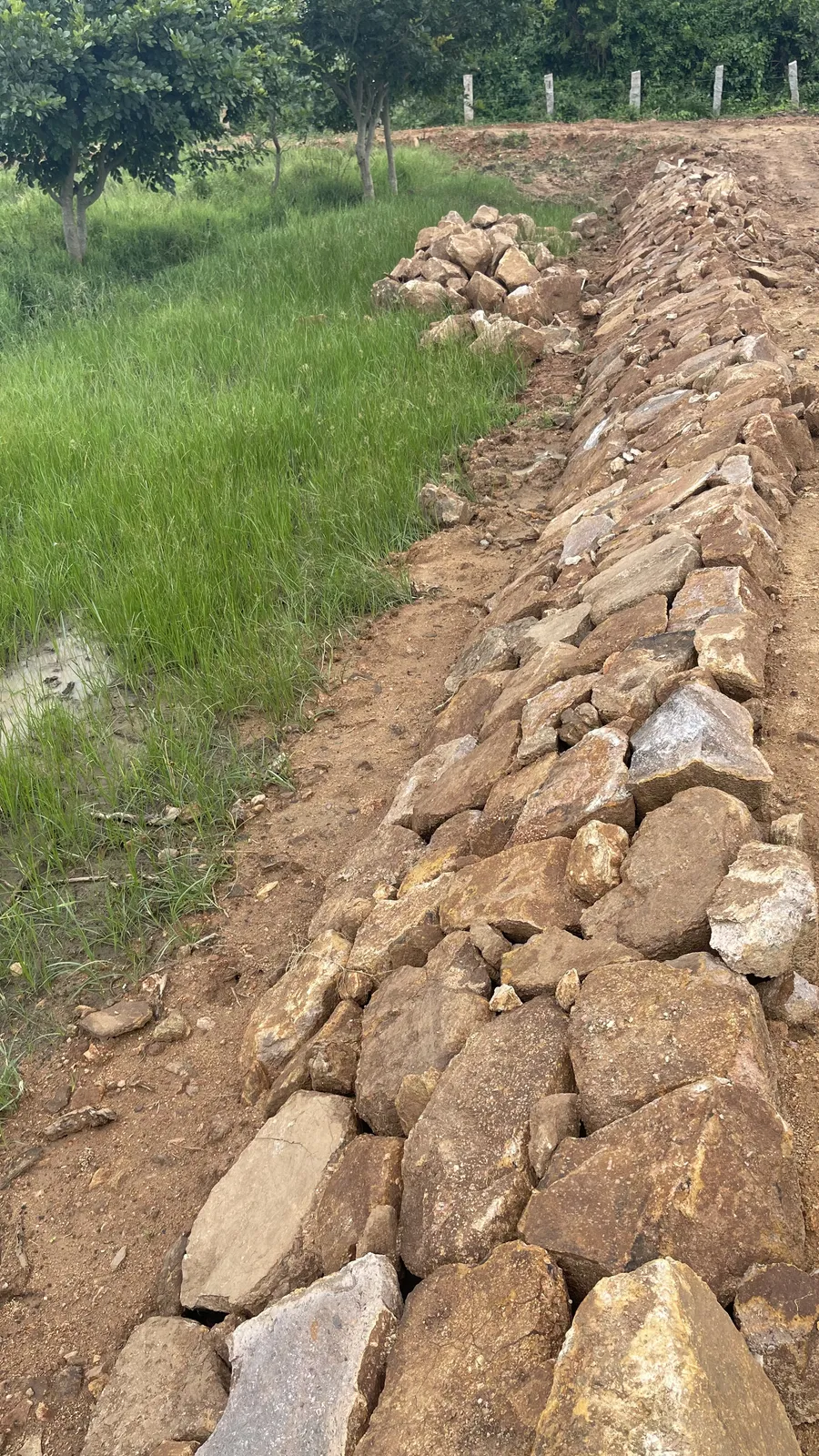 Trenching and Water Harvesting