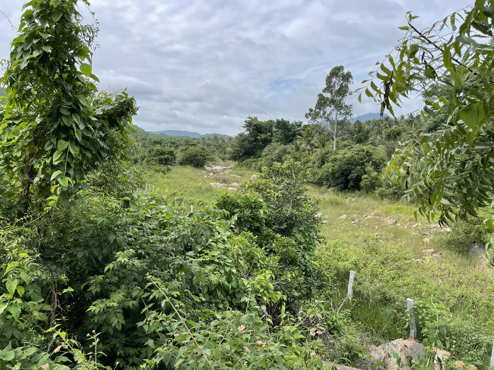 The Land as We Found It