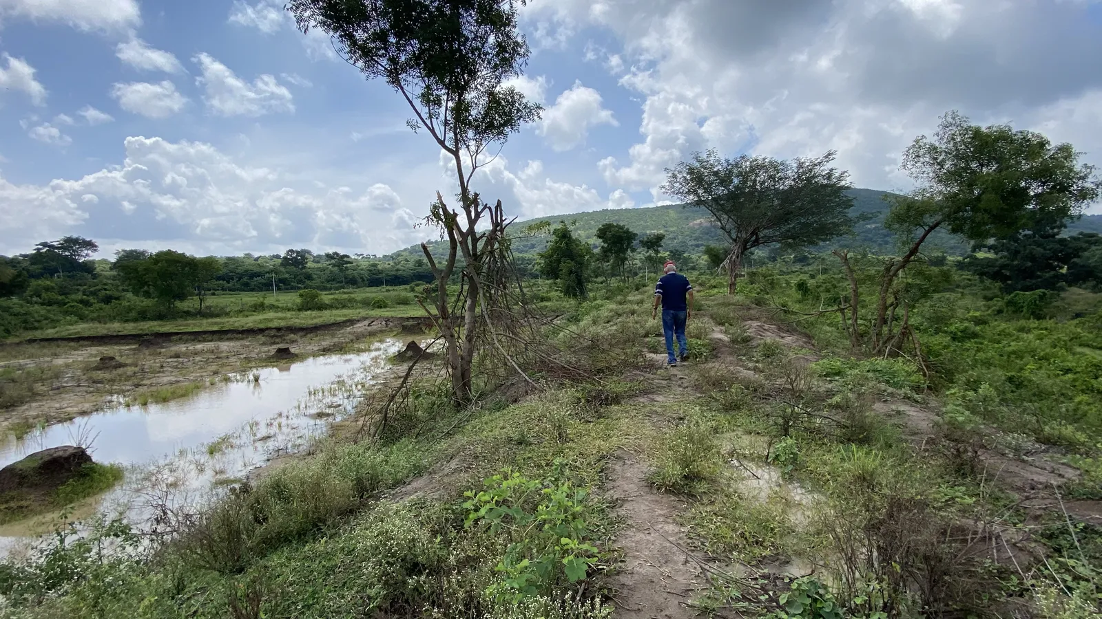 View of the village pond bund.