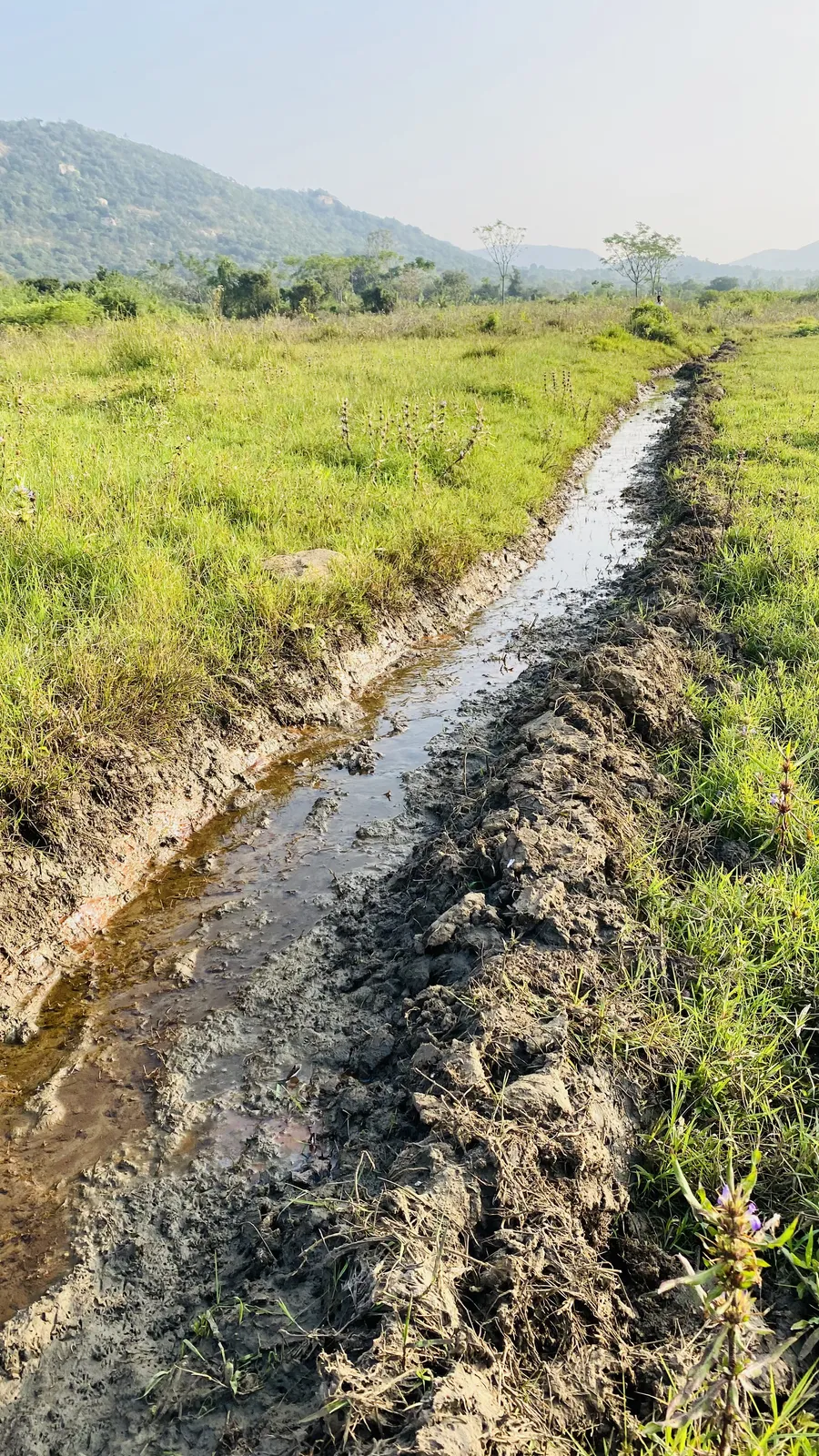 Trenching and Water Harvesting