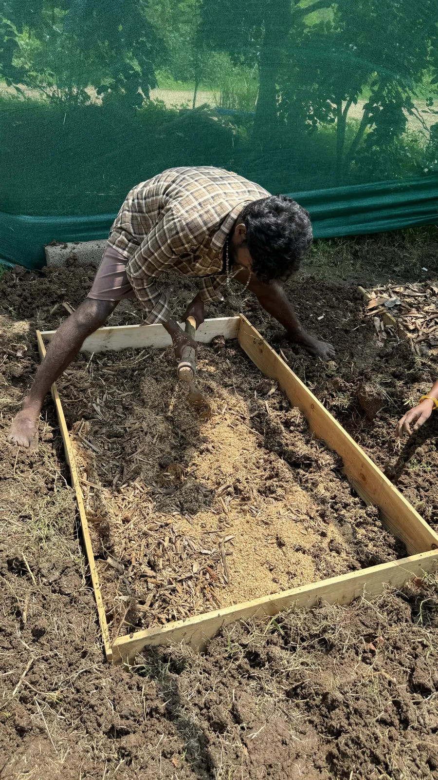 Vegetable Patches