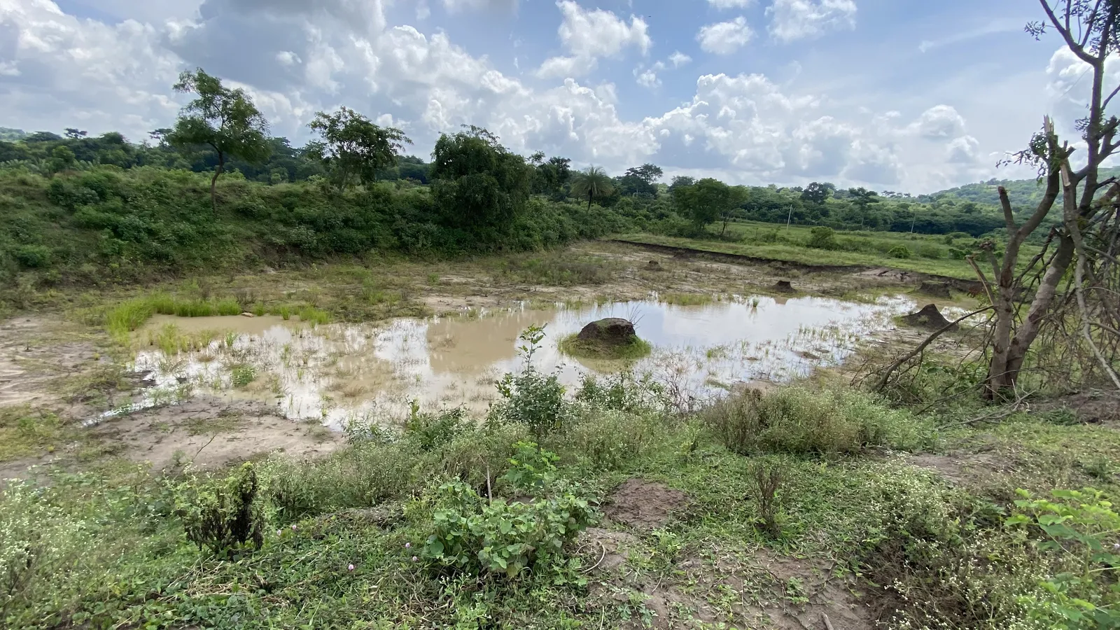 Village pond stood in the middle of our land.