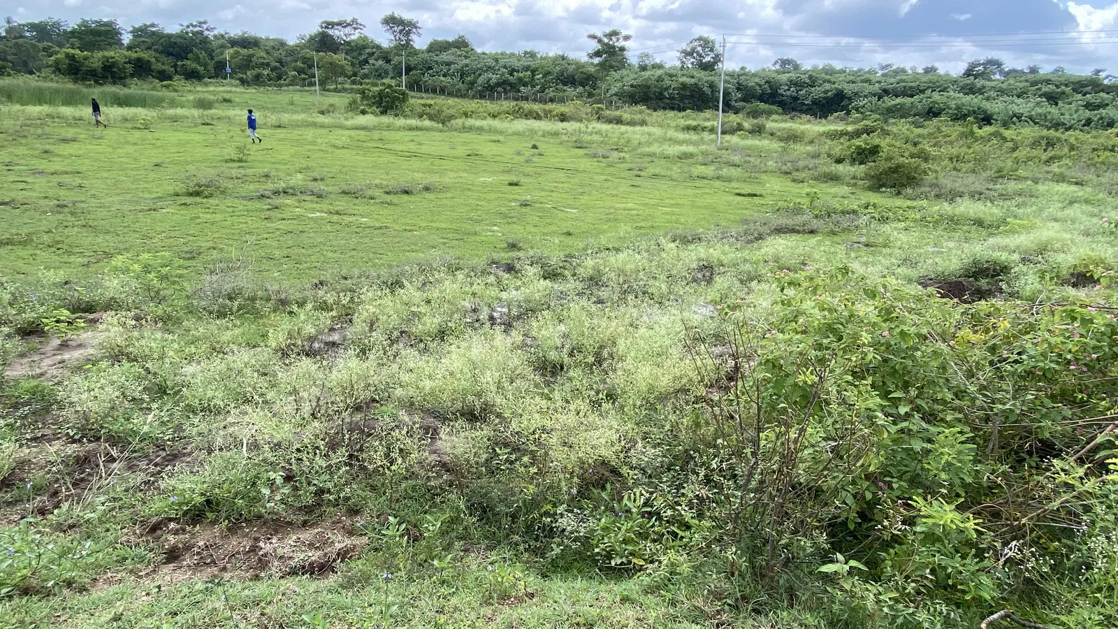 The Land as We Found It