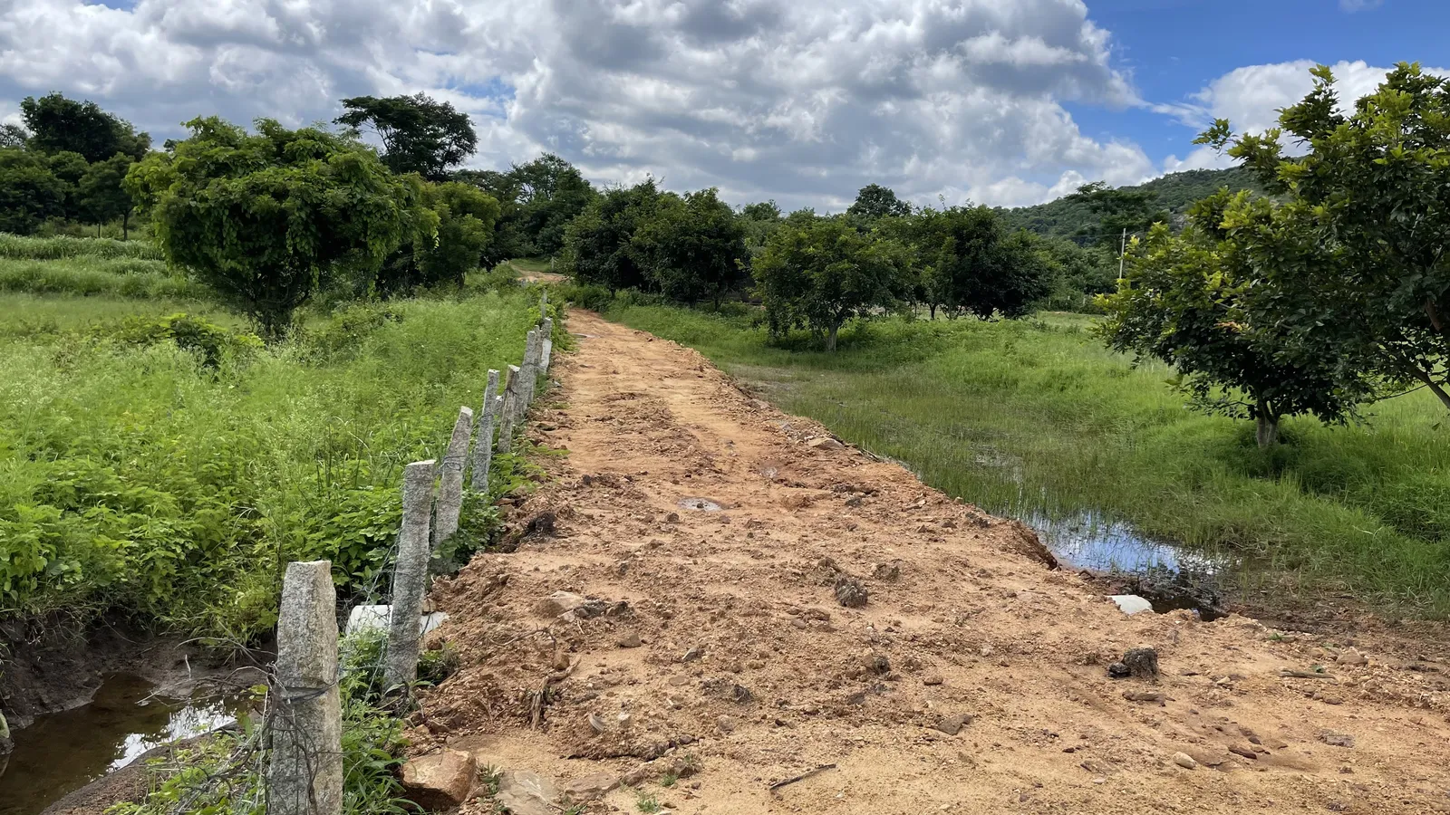 Roads and Access