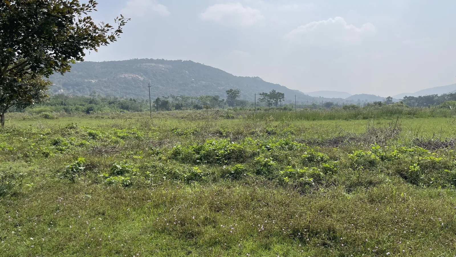 The Land as We Found It