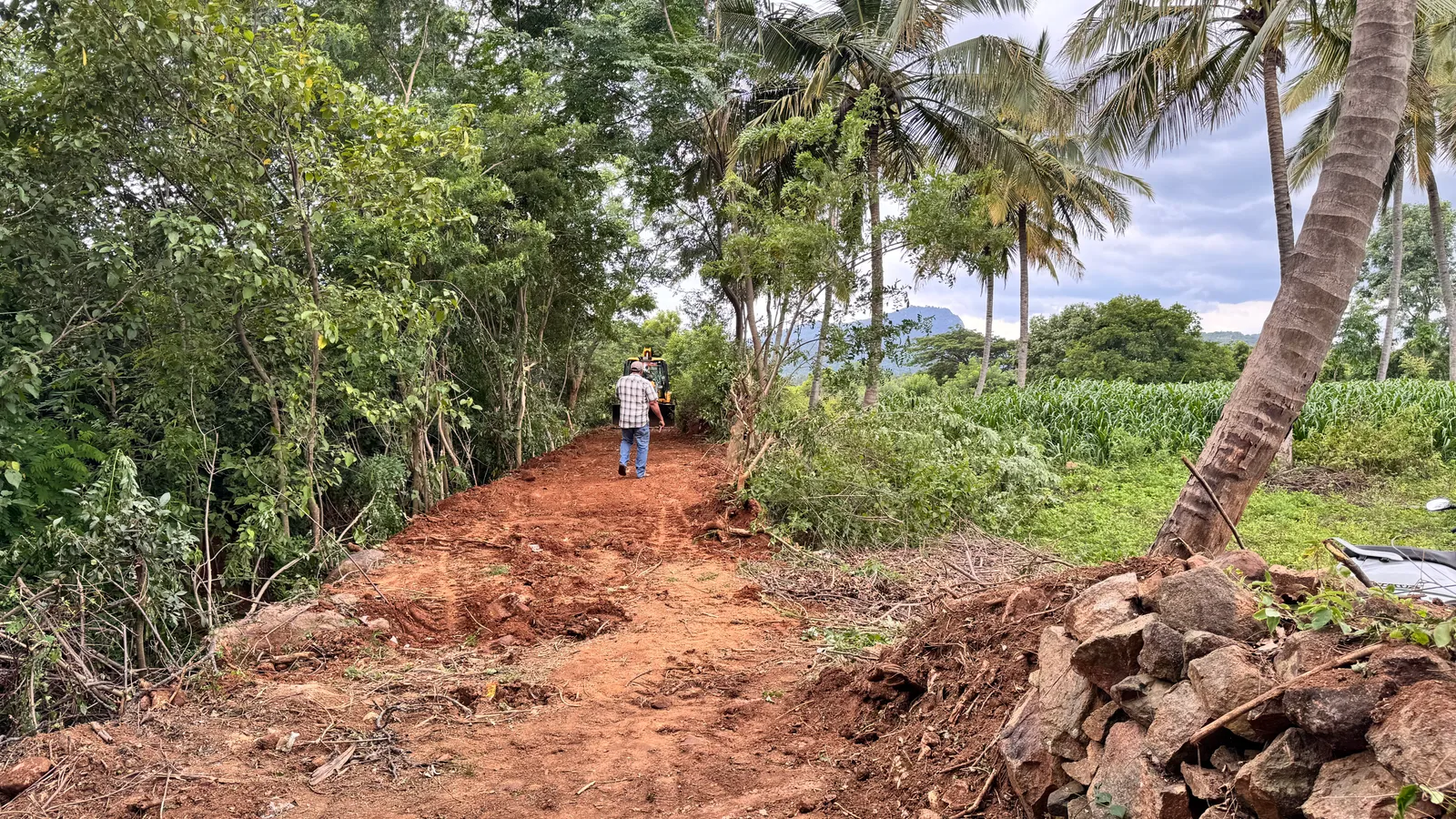 Roads and Access
