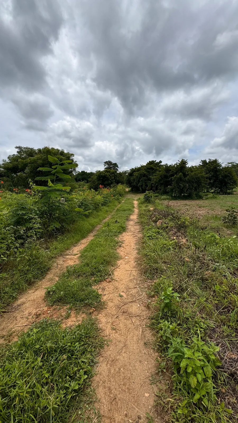 Roads and Access