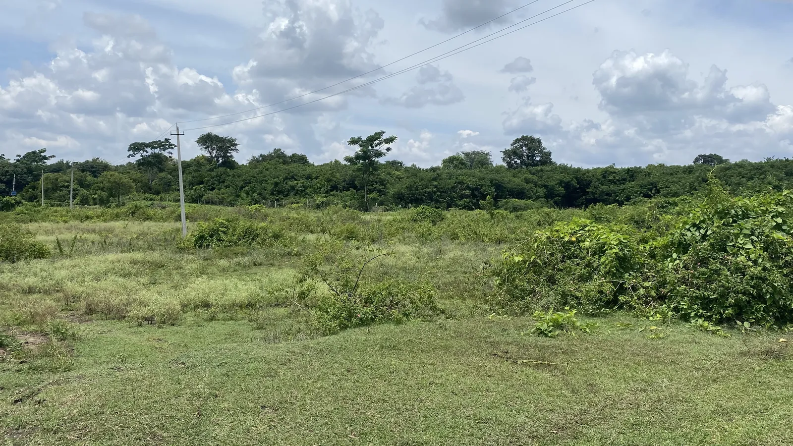 The Land as We Found It