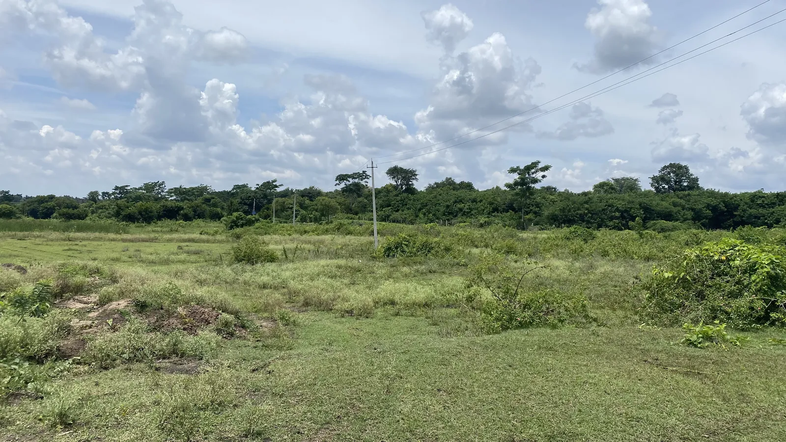 The Land as We Found It