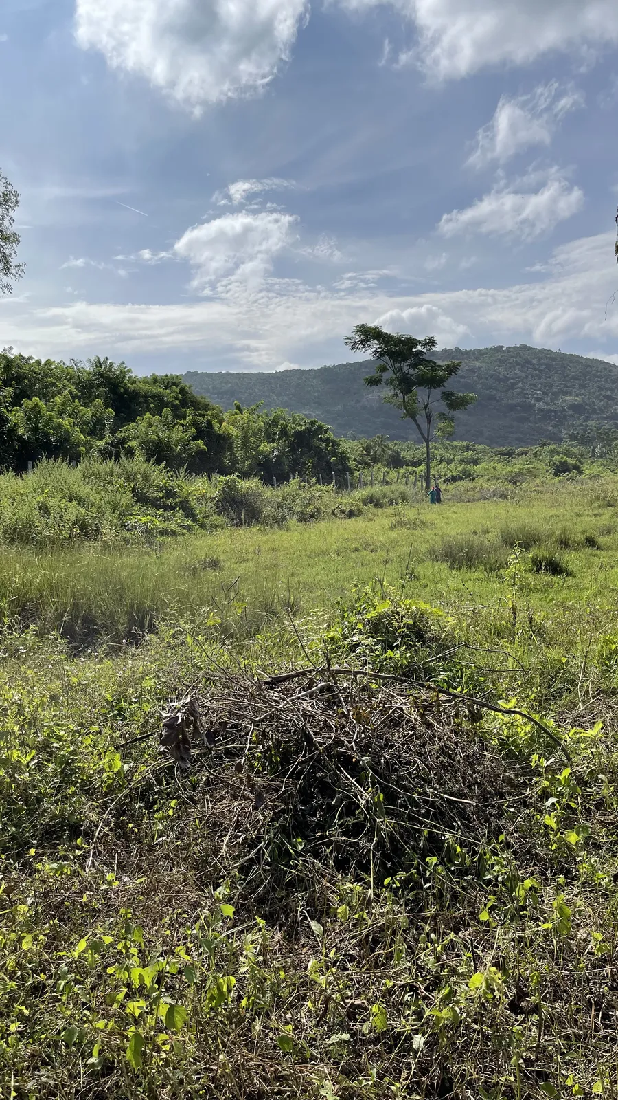 The Land as We Found It