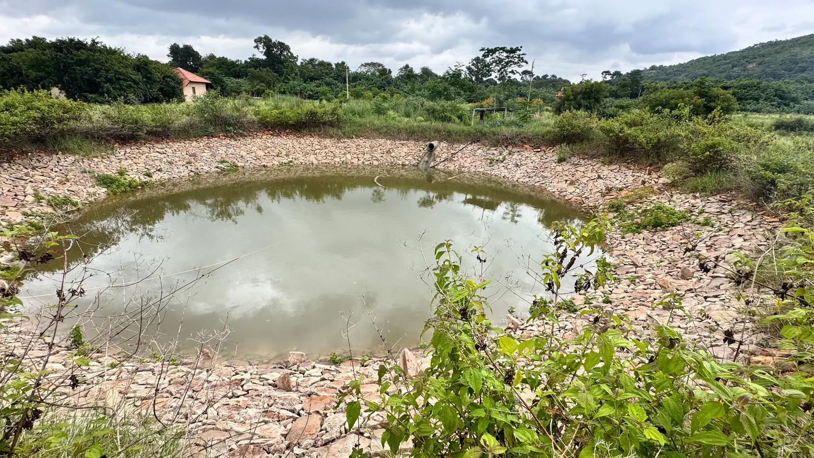 Rainwater Harvesting