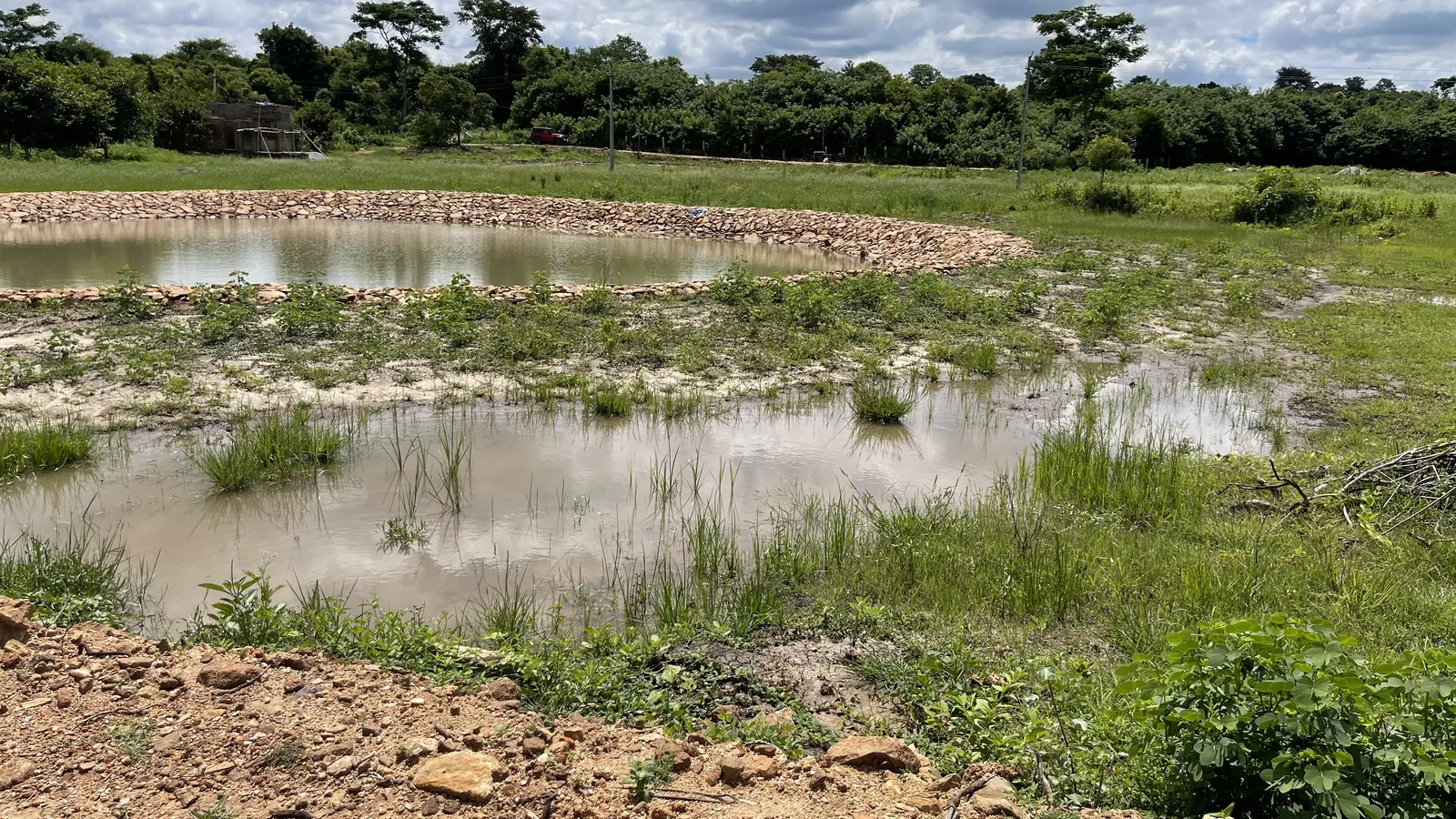 Trenching and Water Harvesting