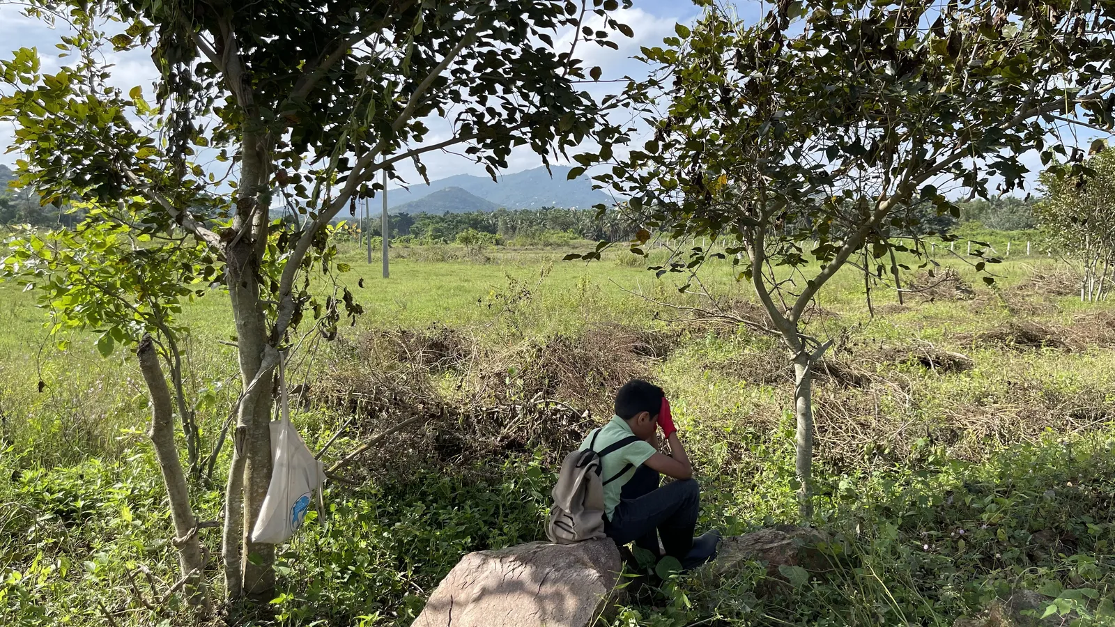 The Land as We Found It