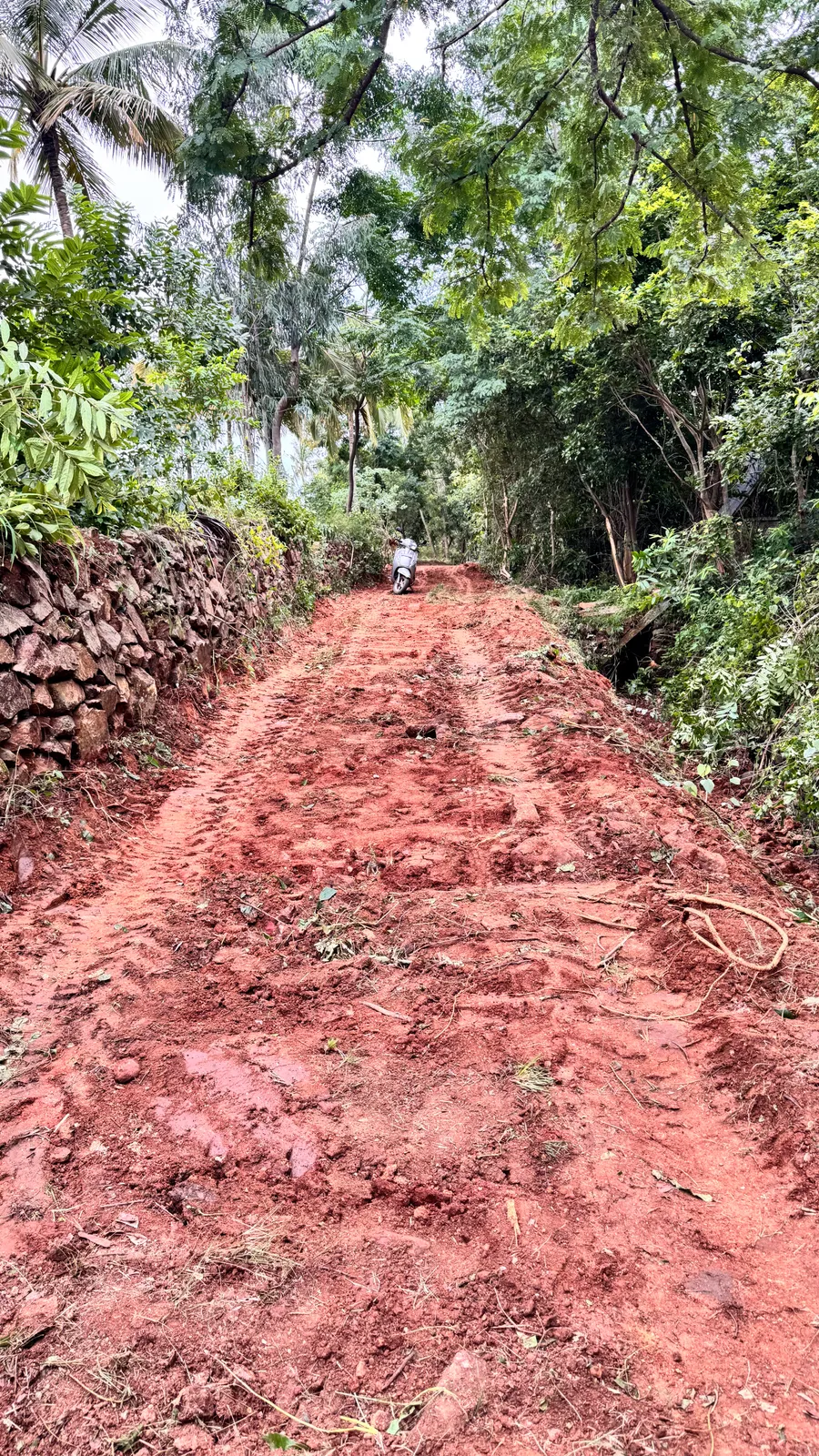 Roads and Access