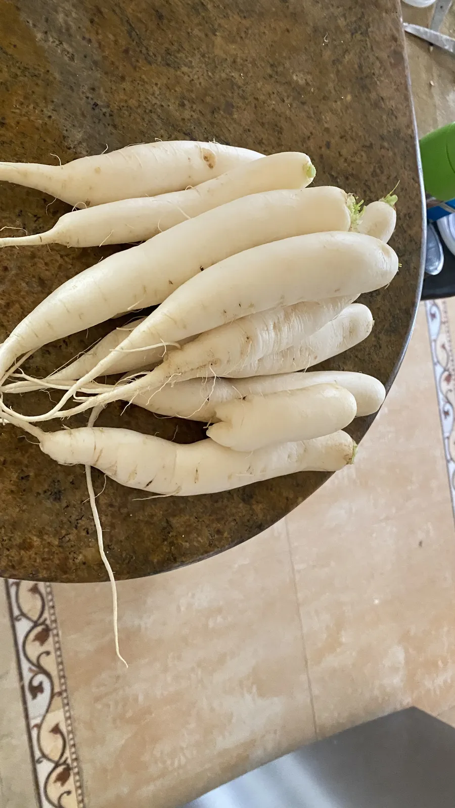 Vegetable Patches