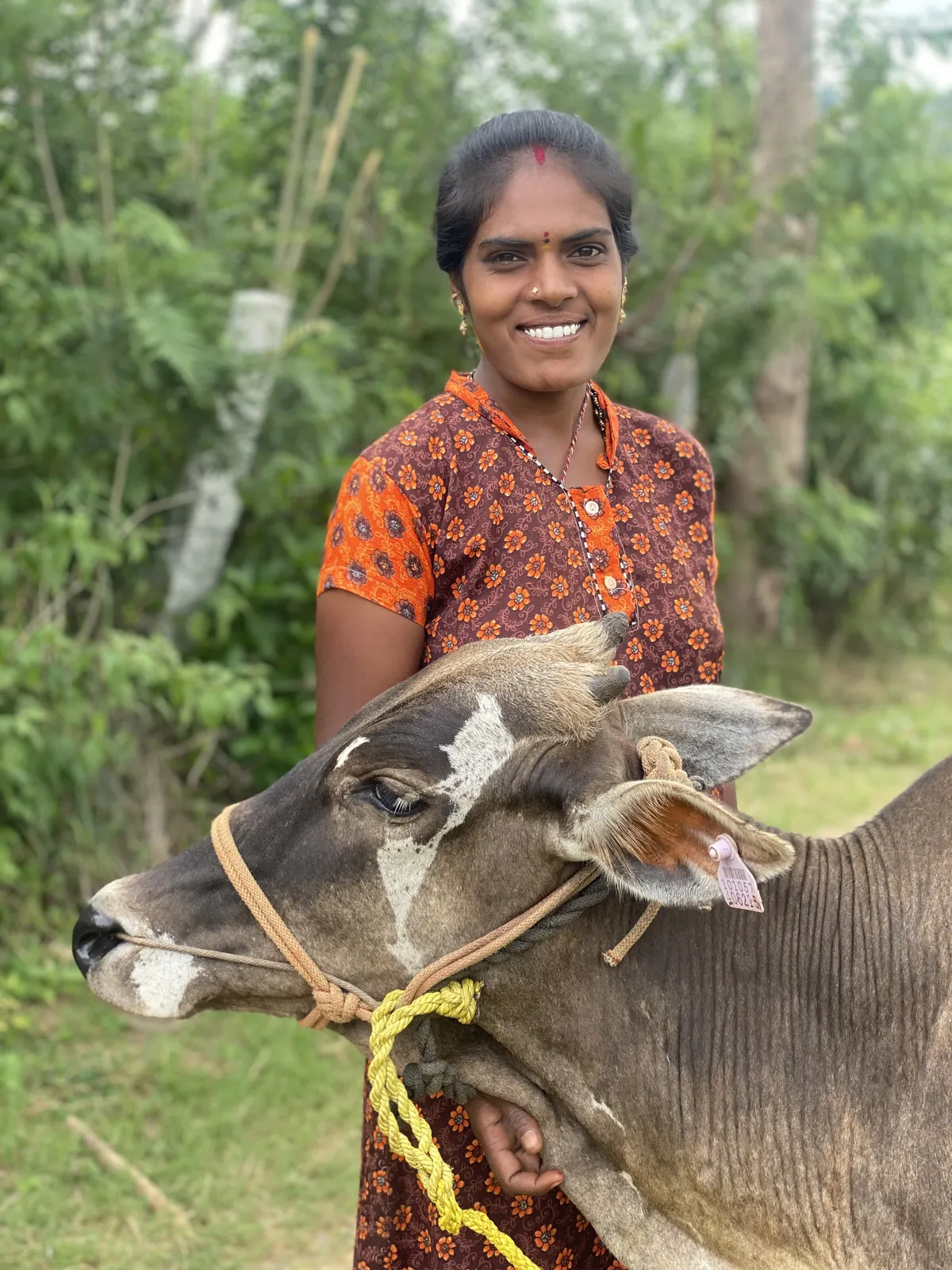 Wildlife and Animals