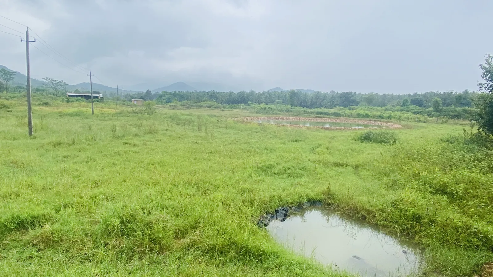 Trenching and Water Harvesting