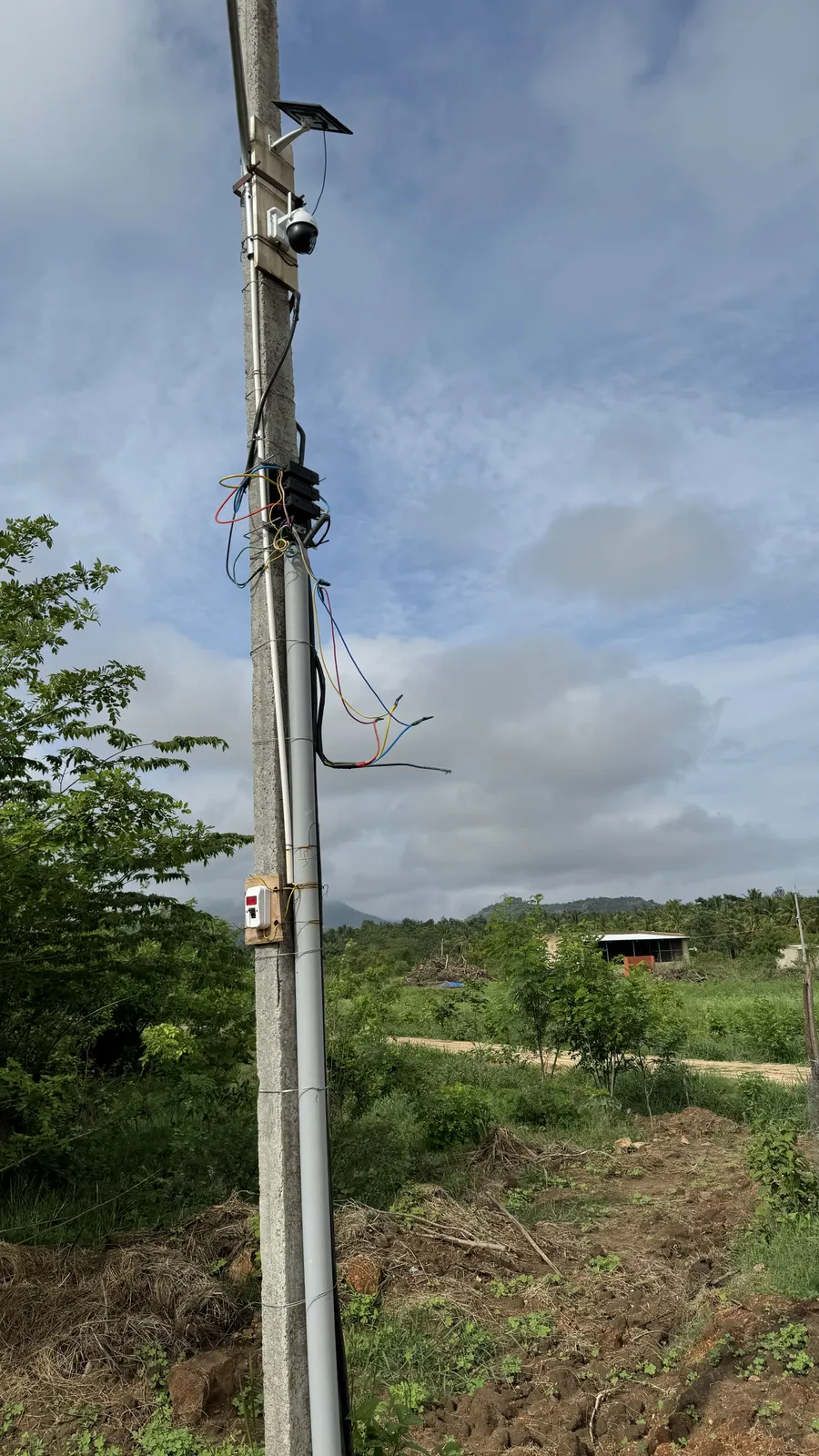 Solar and Electricity