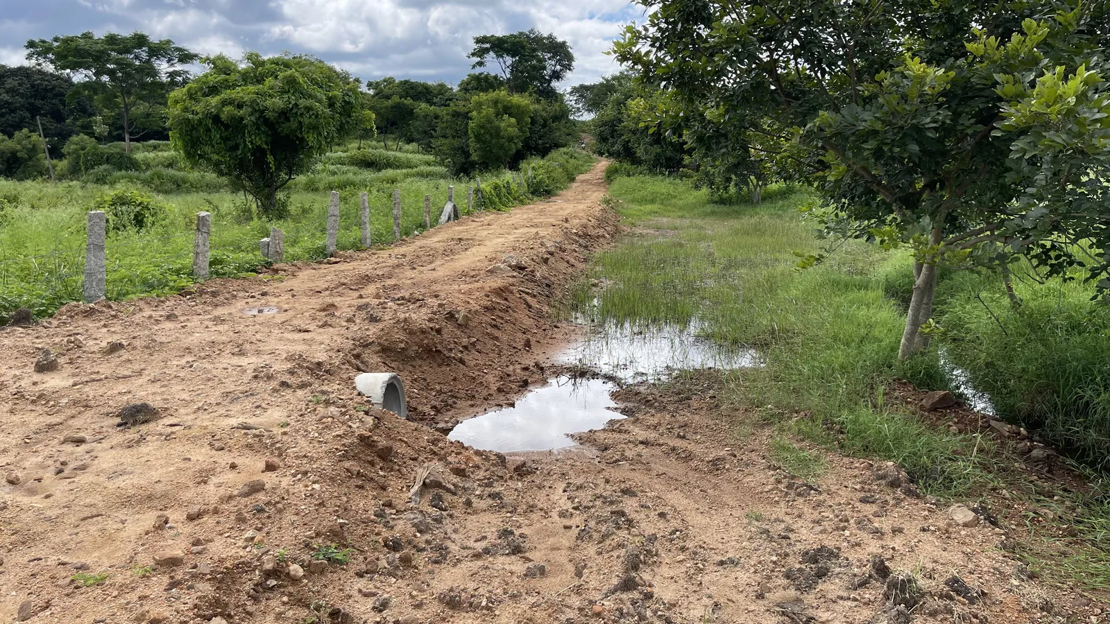 Roads and Access