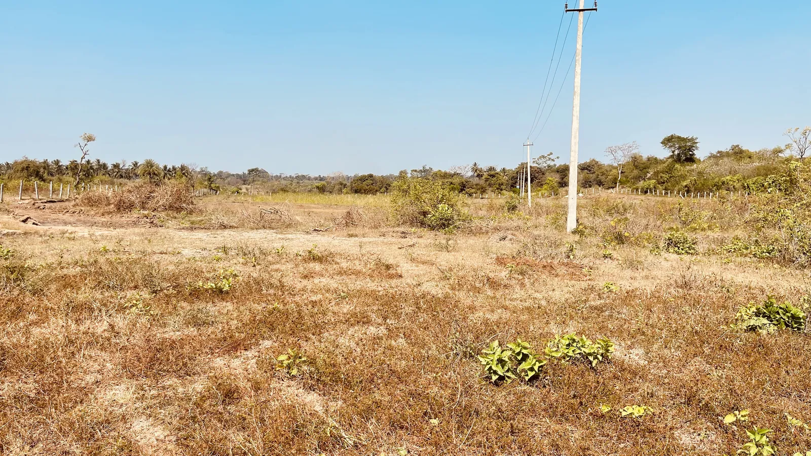 The Land as We Found It
