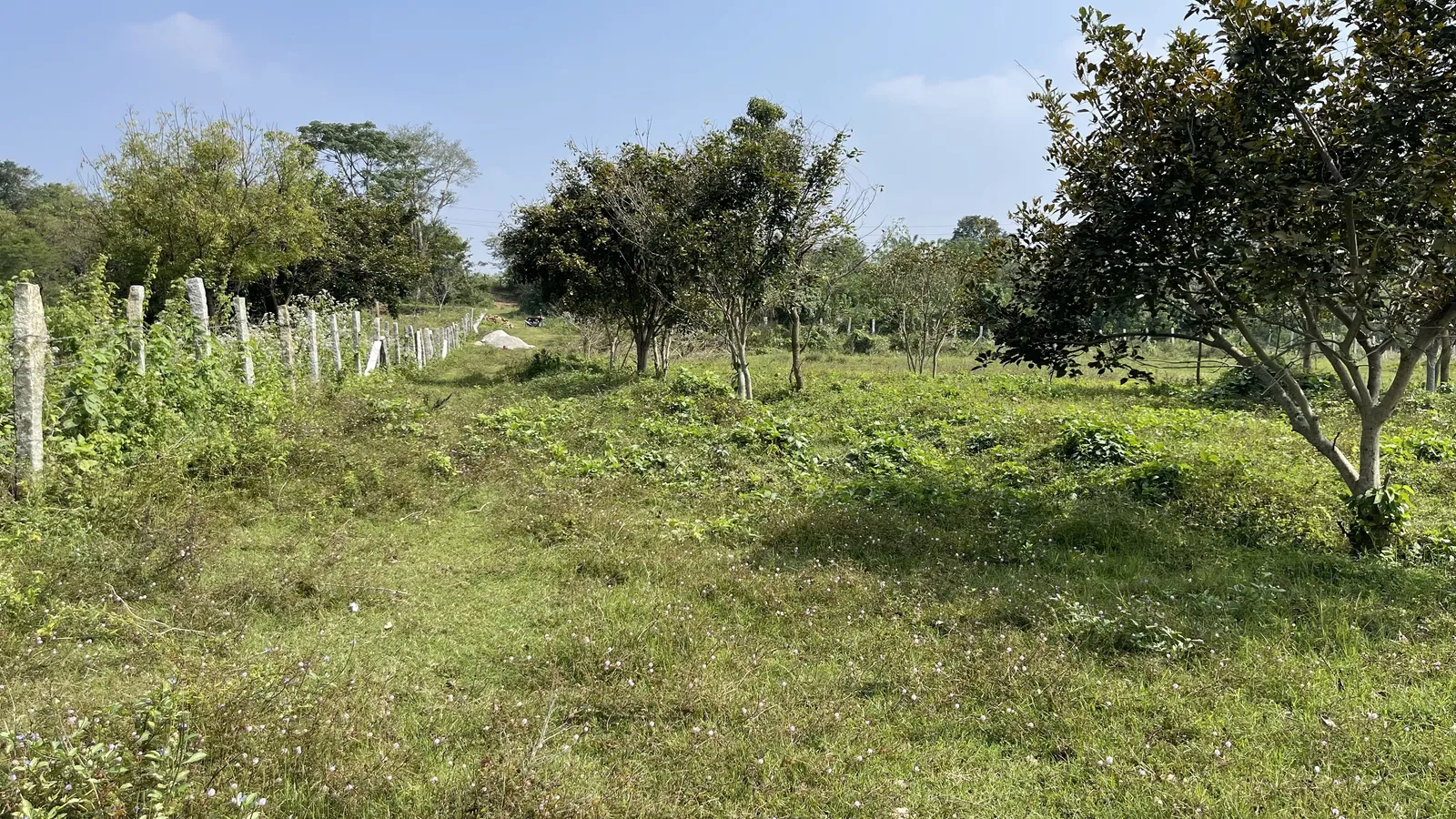 The Land as We Found It