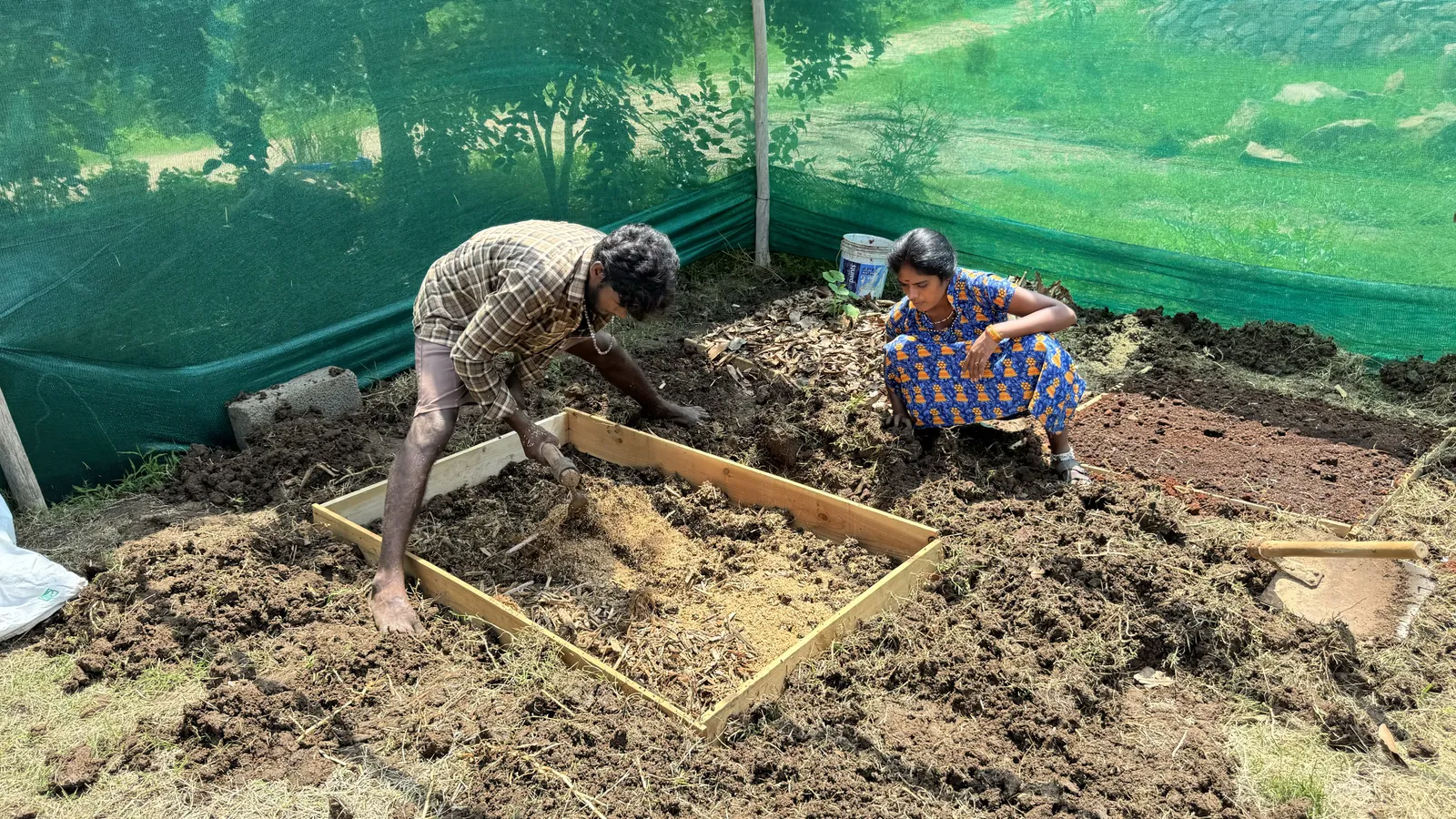 Vegetable Patches