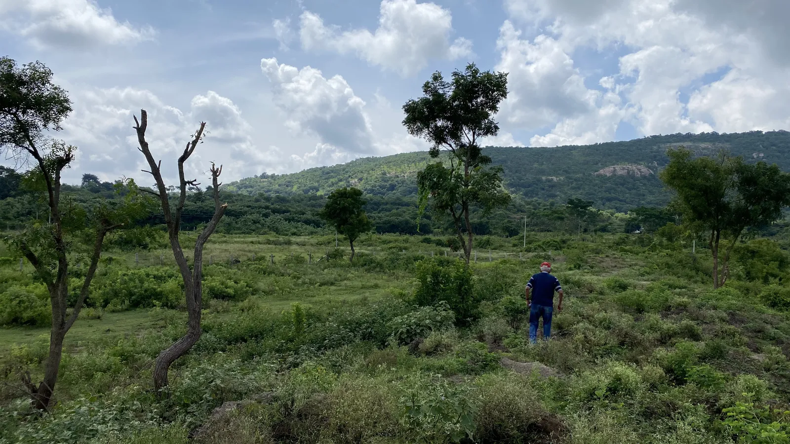 The Land as We Found It