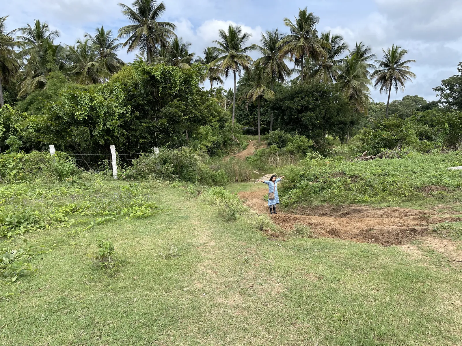 The Land as We Found It