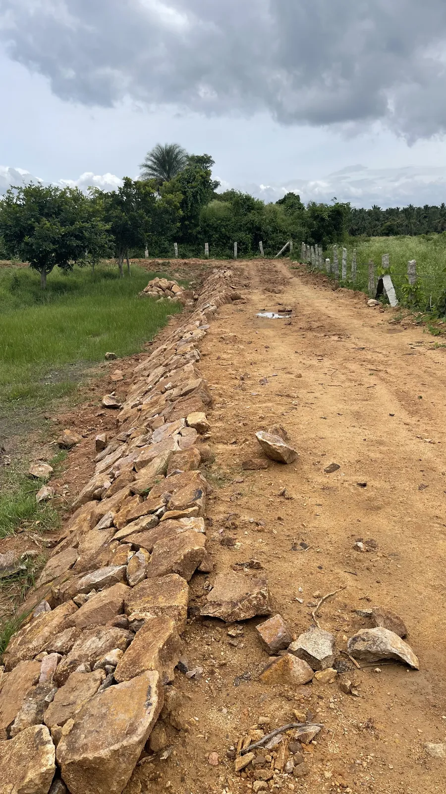 Trenching and Water Harvesting