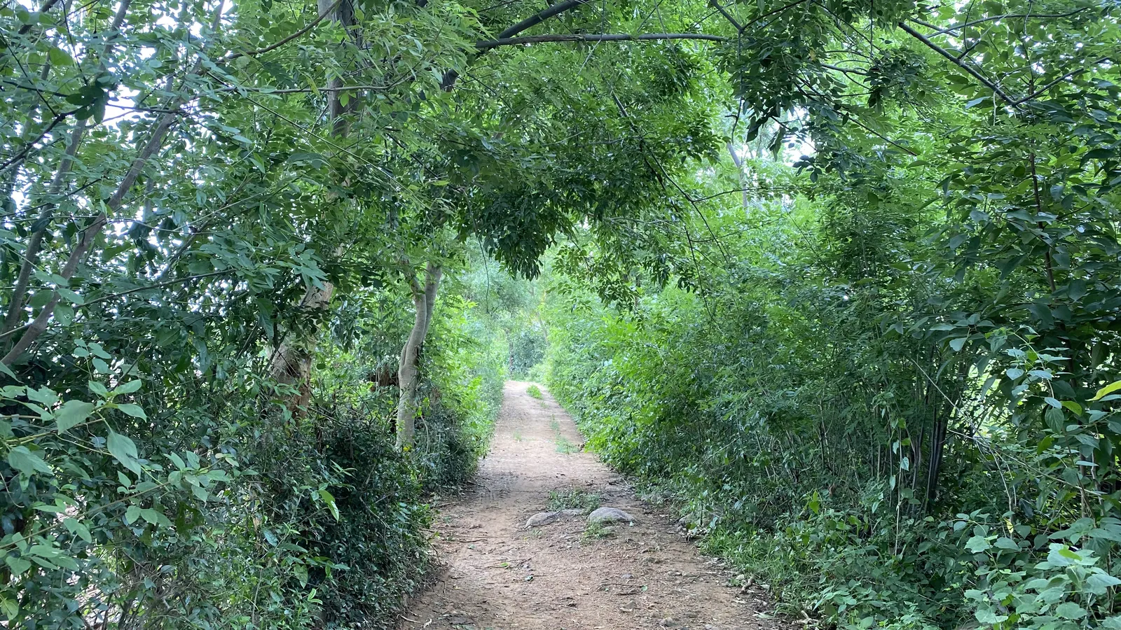 Roads and Access