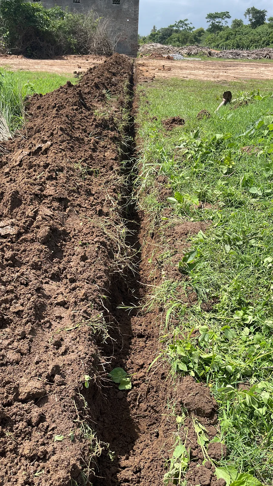 Irrigation, Pumps and Pipes