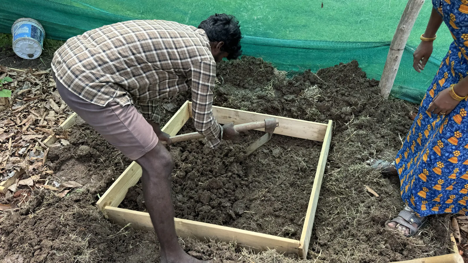 Vegetable Patches