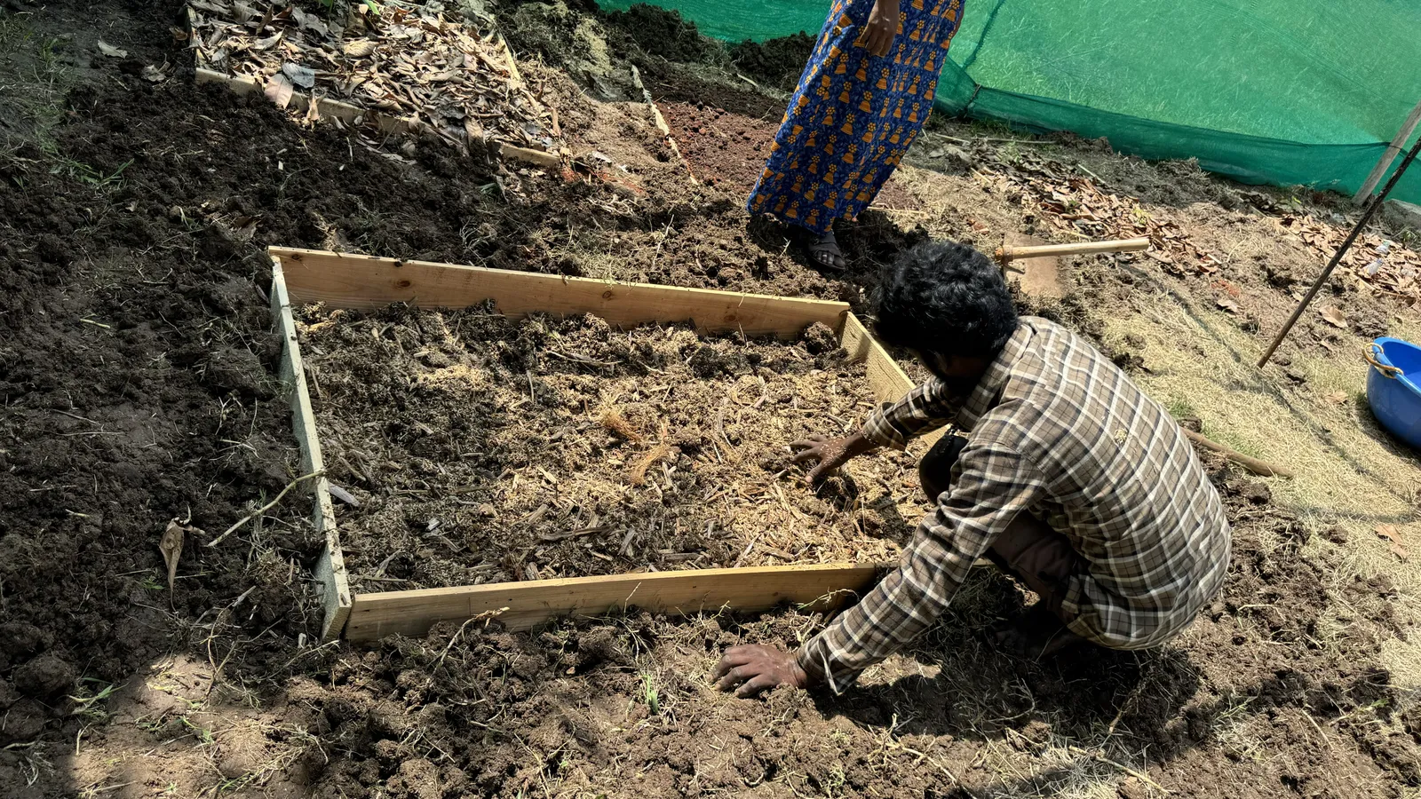 Vegetable Patches