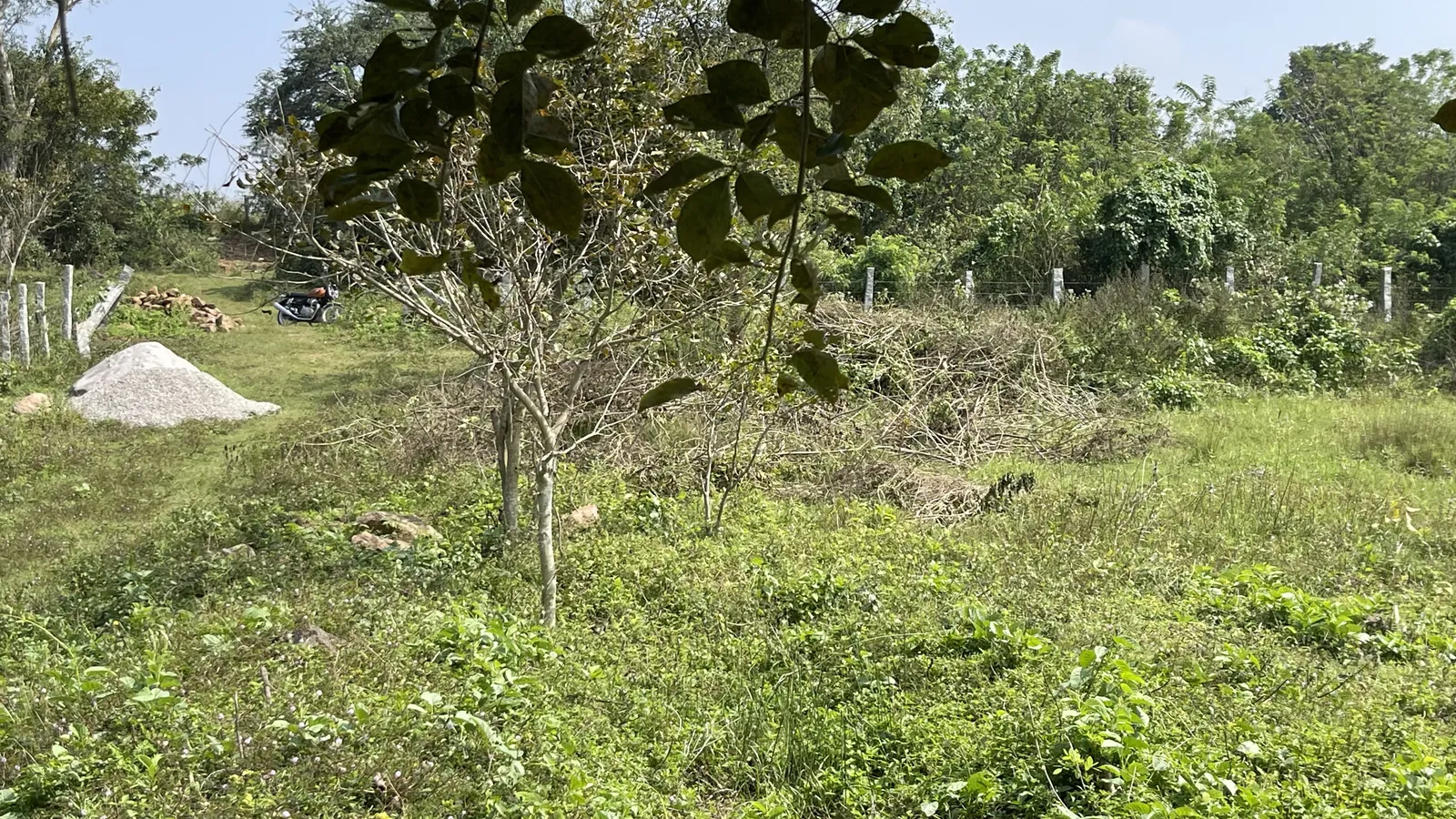 The Land as We Found It