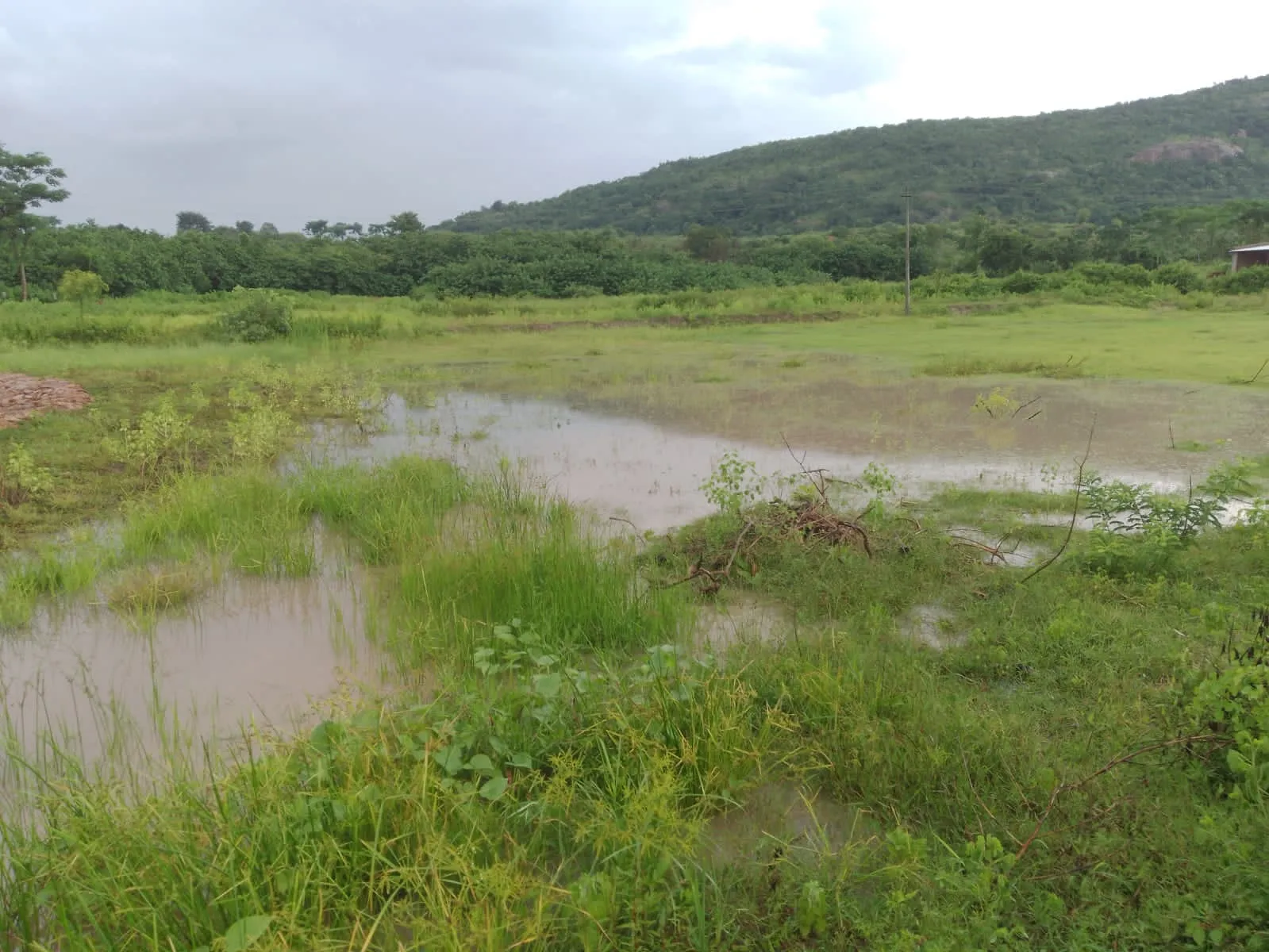 Trenching and Water Harvesting