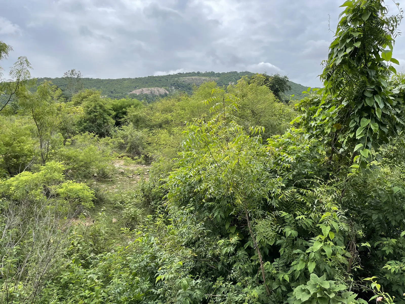The Land as We Found It