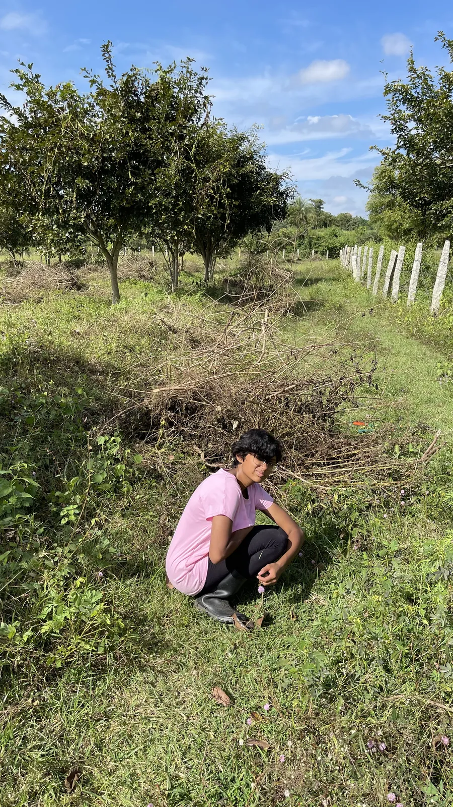 The Land as We Found It