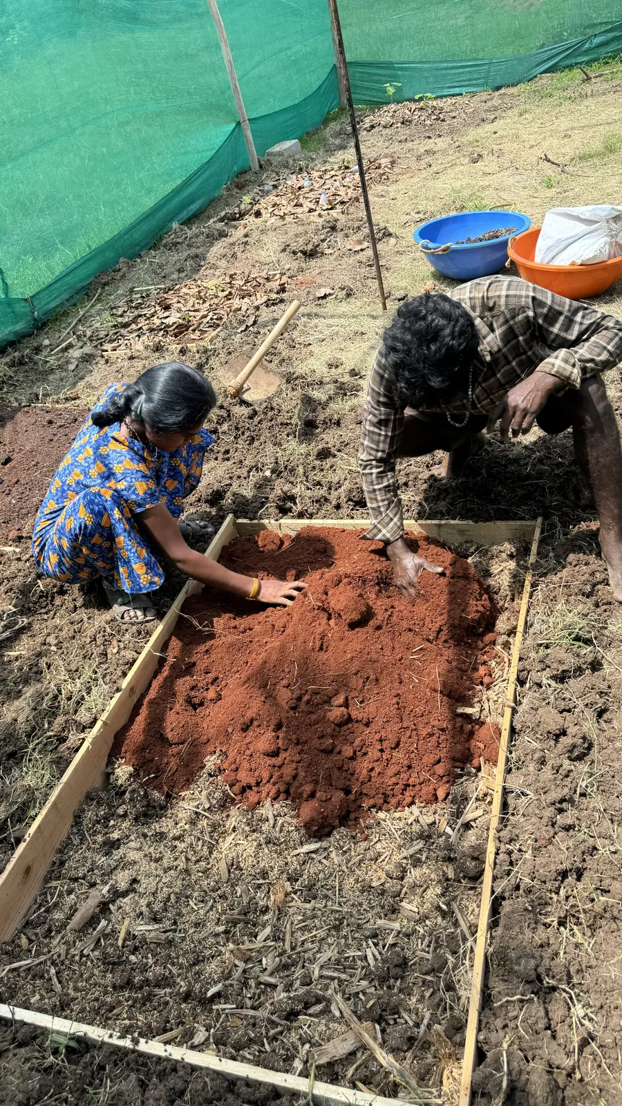 Vegetable Patches