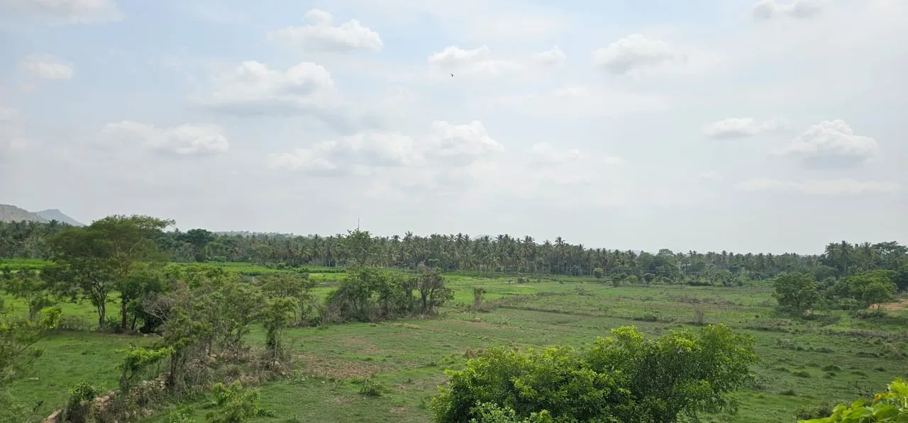 The Land as We Found It