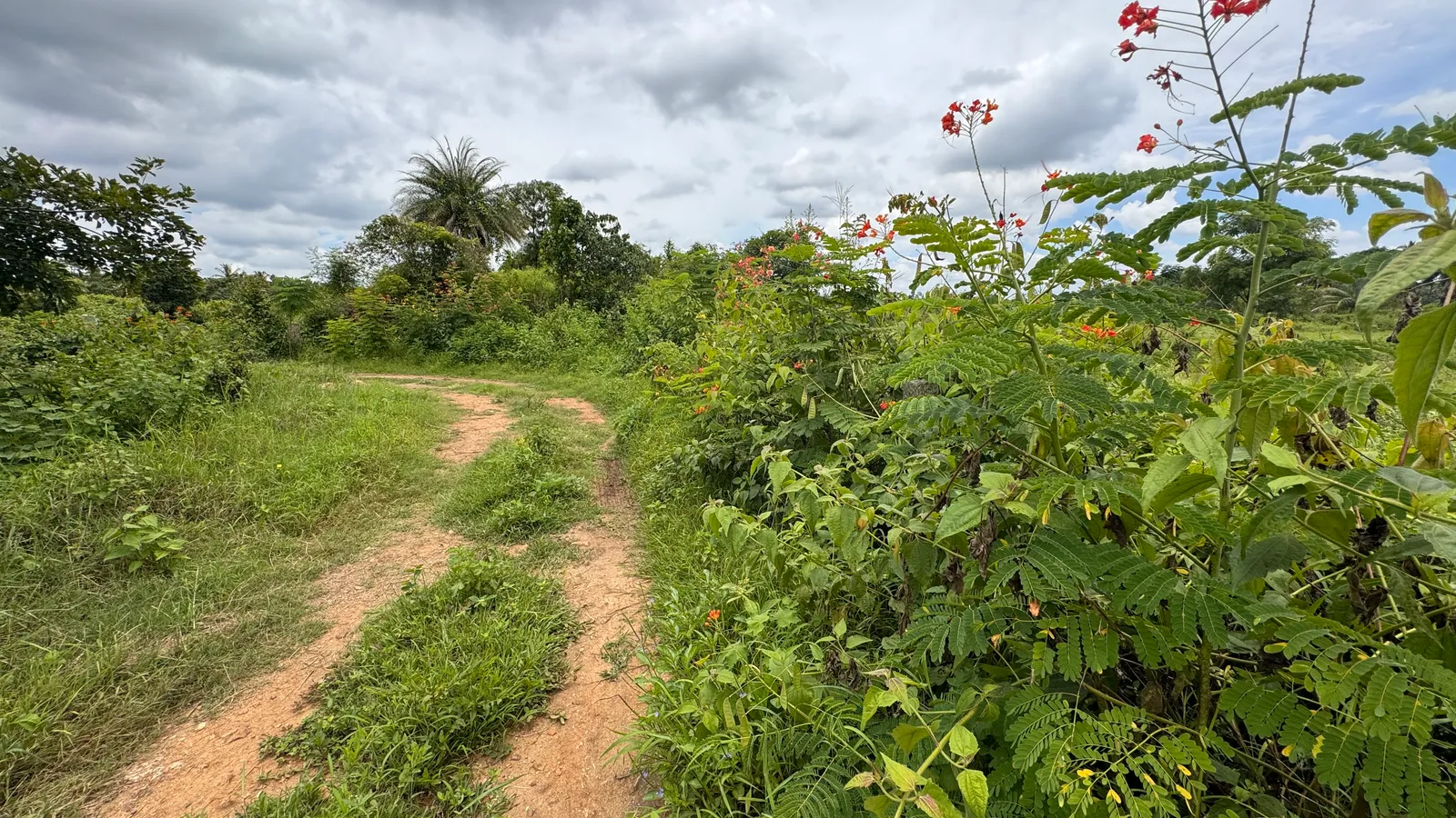 Roads and Access