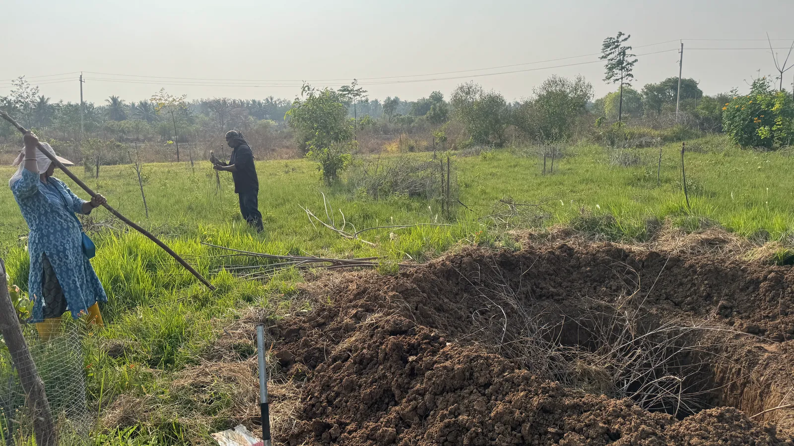 Banana Pits